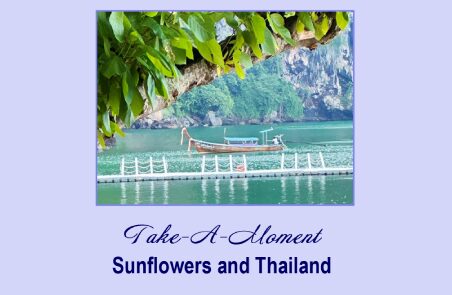 A boat on a placid lake in Thailand